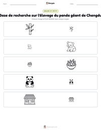 Aperçu de la feuille de travail imprimable Base de recherche sur l'élevage du panda géant de Chengdu