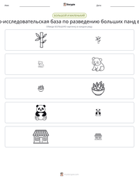 Научно-исследовательская база по разведению больших панд в Чэнду предварительный просмотр распечатываемого рабочего листа