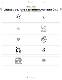 Chengdu Dev Panda Yetiştirme Araştırma Üssü yazdırılabilir çalışma sayfası önizlemesi