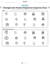 Chengdu Dev Panda Yetiştirme Araştırma Üssü yazdırılabilir çalışma sayfası önizlemesi