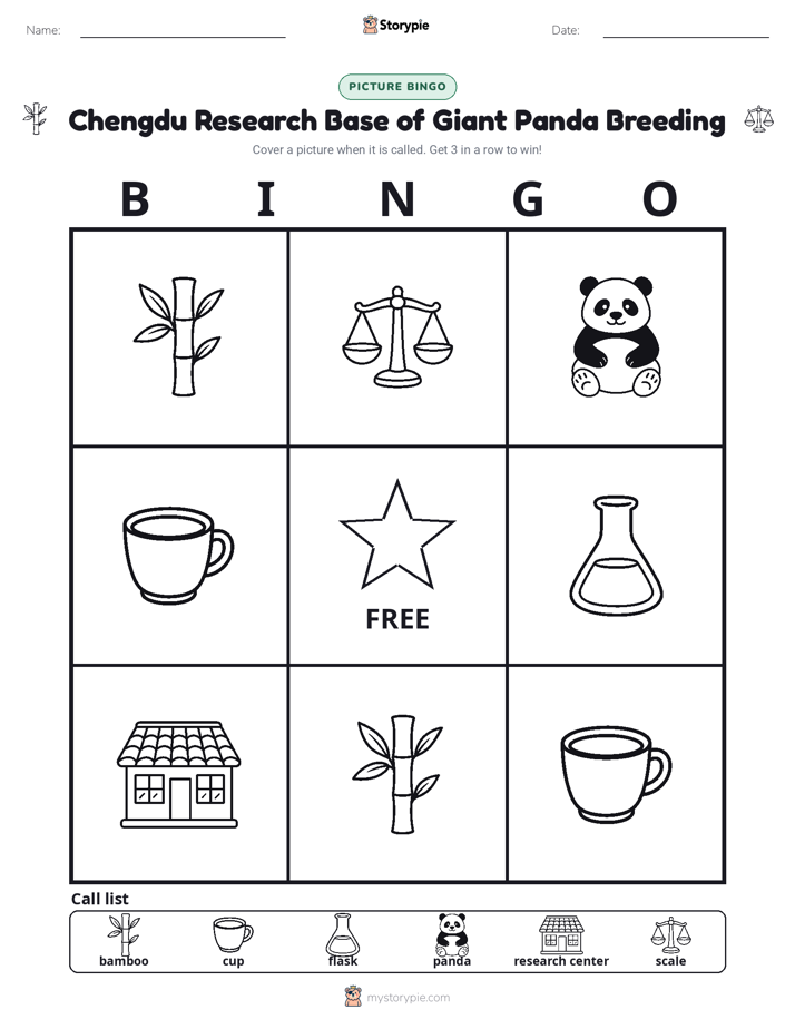 Picture Bingo