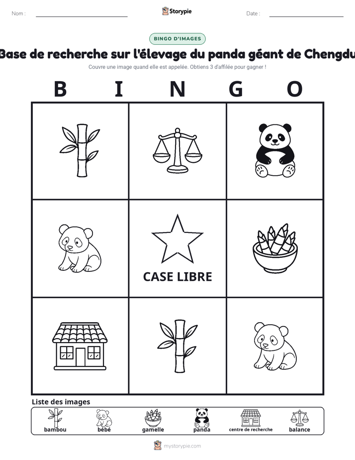 Bingo d'Images