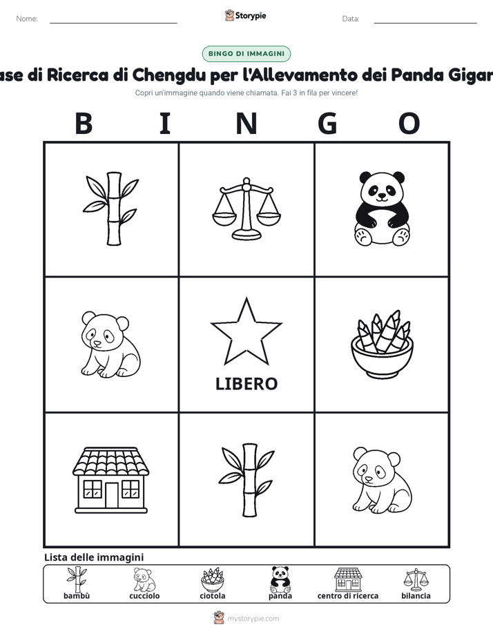 Bingo delle Immagini