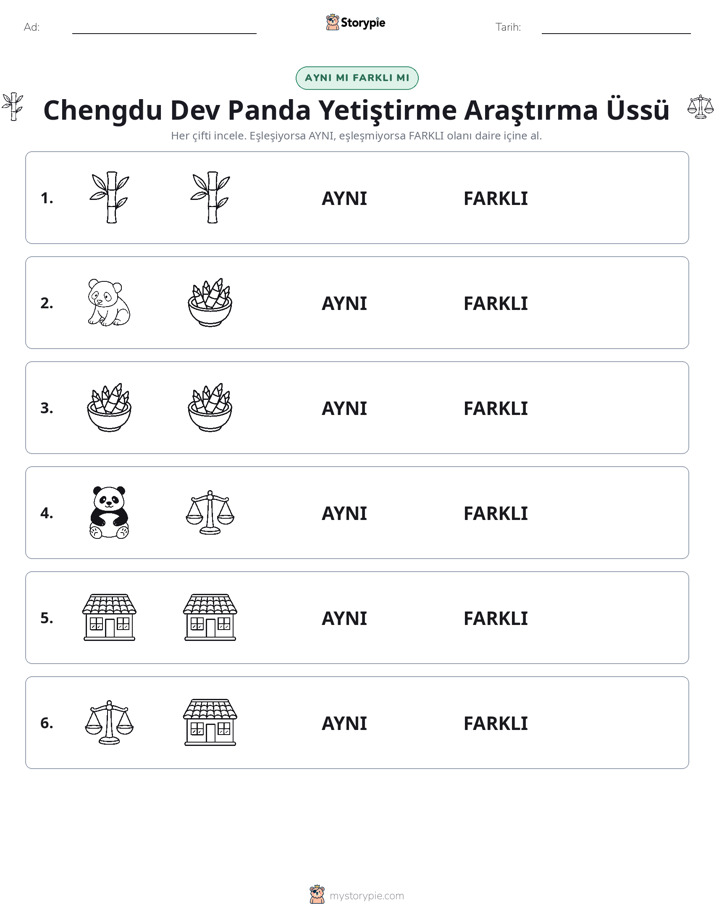 Aynı mı Farklı mı