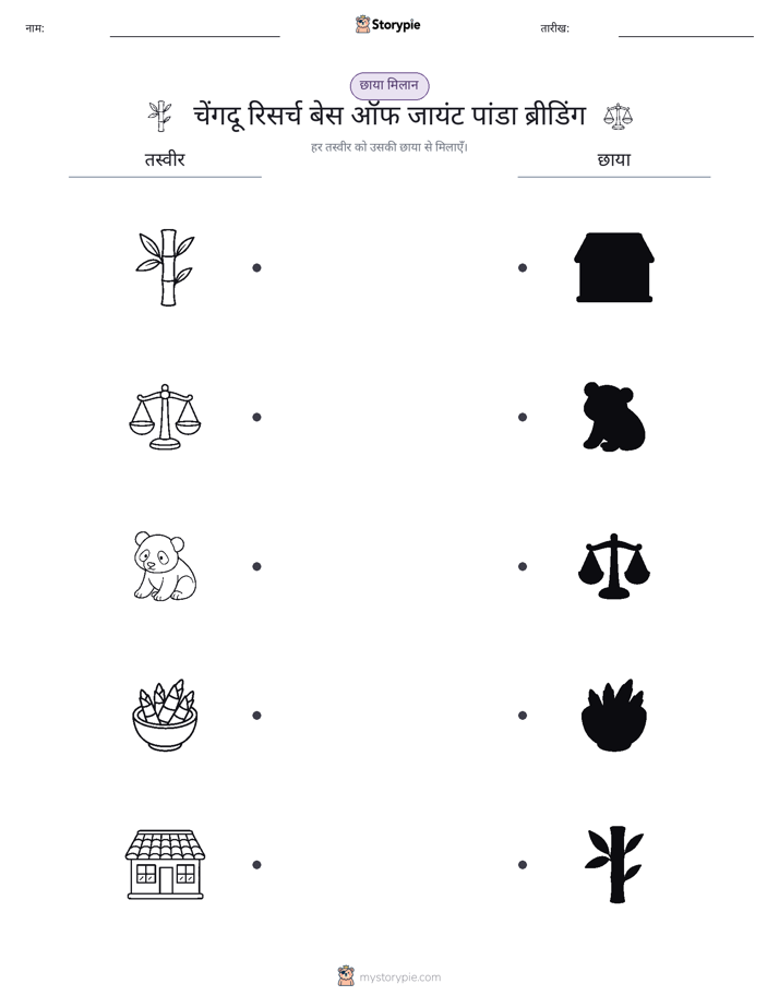 छाया मिलान