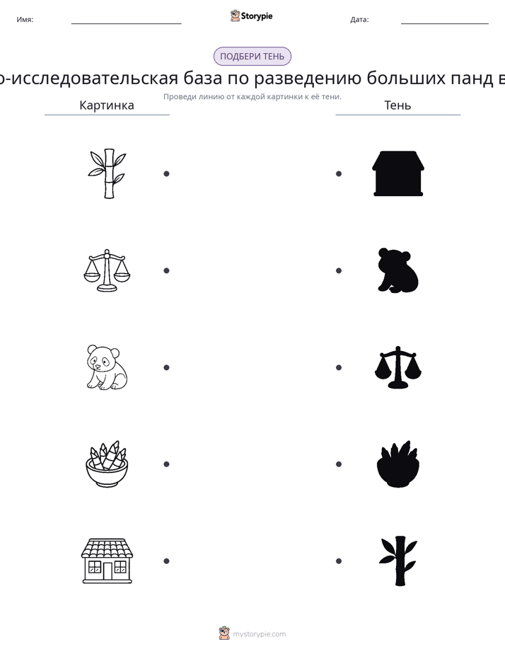 Сопоставление теней