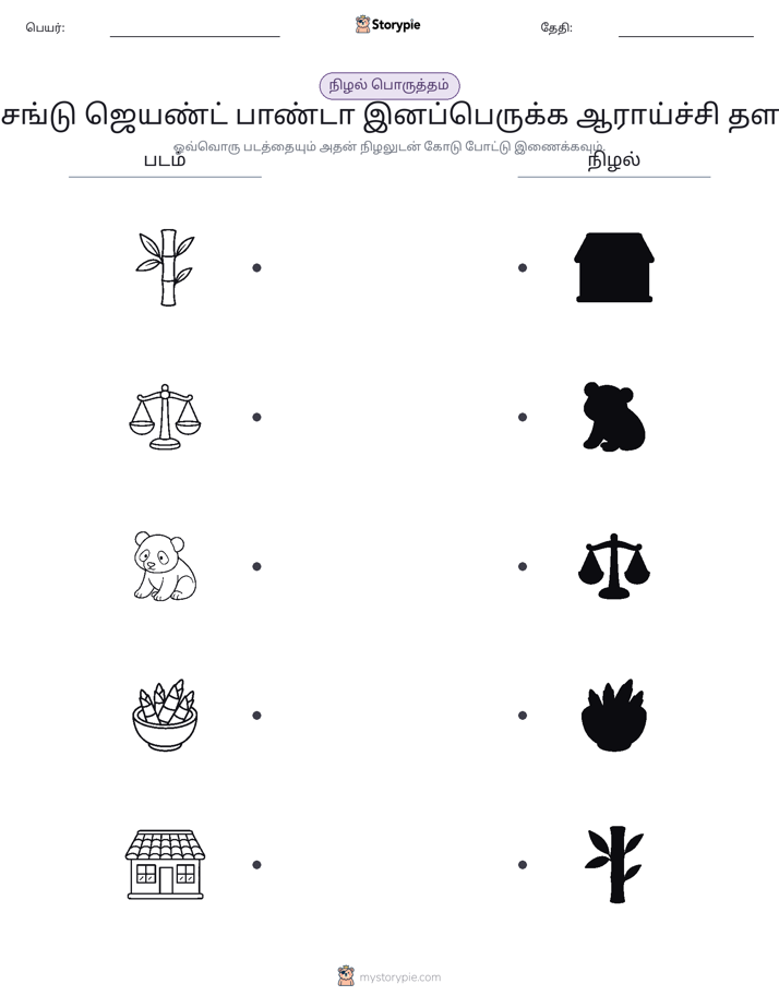 நிழல் பொருத்தம்
