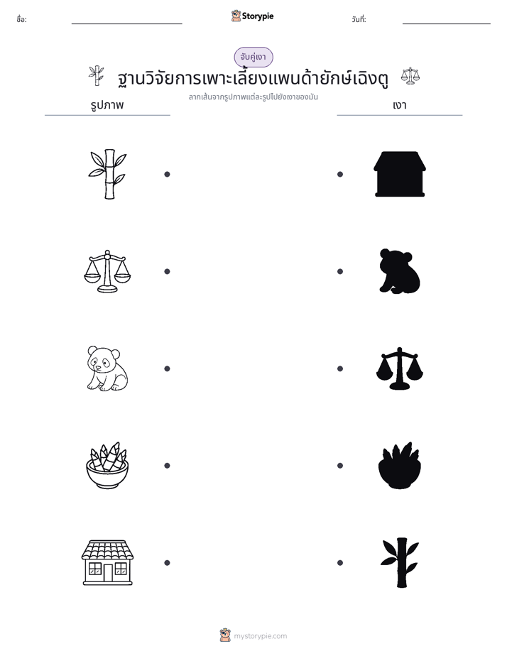 จับคู่เงา