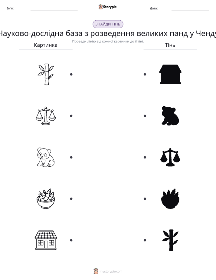 Тіньове Відповідність