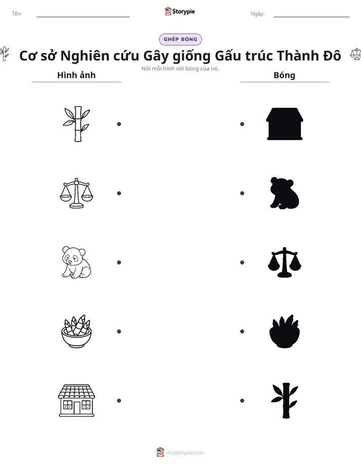 Ghép Hình Bóng