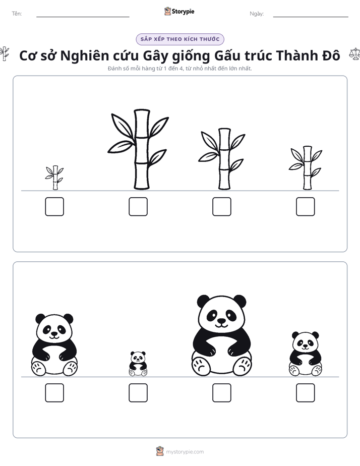 Thứ Tự Kích Thước
