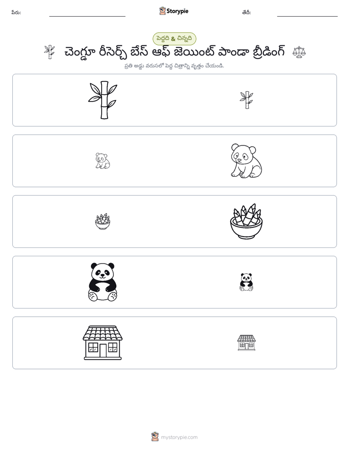 వర్గీకరణ