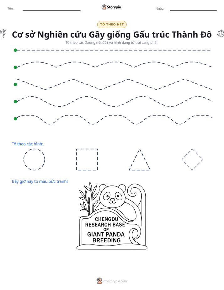 Vẽ Theo Đường