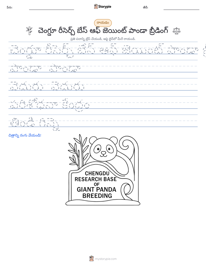 రాయడం సాధన