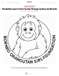 Aperçu de la feuille de travail imprimable Fondation pour la Survie des Orangs-outans de Bornéo