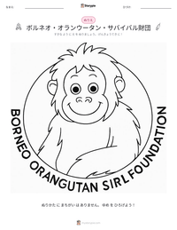 ボルネオ・オランウータン・サバイバル財団 の印刷可能ワークシートプレビュー