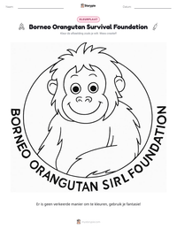 Borneo Orangutan Survival Foundation afdrukbare werkblad voorbeeld