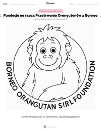 Podgląd drukowalnego arkusza ćwiczeń Fundacja na rzecz Przetrwania Orangutanów z Borneo