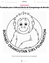 Prévia da folha de atividades imprimível Fundação para a Sobrevivência do Orangotango de Bornéu