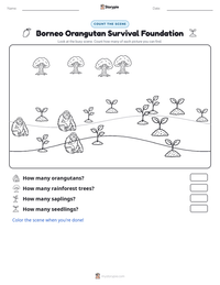 Borneo Orangutan Survival Foundation printable worksheet preview