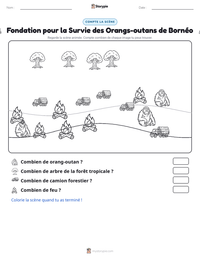 Aperçu de la feuille de travail imprimable Fondation pour la Survie des Orangs-outans de Bornéo