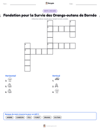 Aperçu de la feuille de travail imprimable Fondation pour la Survie des Orangs-outans de Bornéo