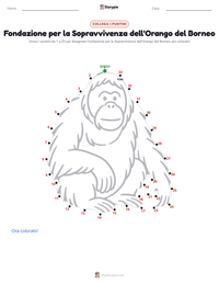 Anteprima della scheda stampabile di Fondazione per la Sopravvivenza dell'Orango del Borneo