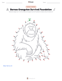 Borneo Orangutan Survival Foundation afdrukbare werkblad voorbeeld