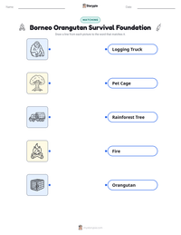 Borneo Orangutan Survival Foundation printable worksheet preview