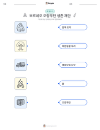 보르네오 오랑우탄 생존 재단 인쇄 가능한 워크시트 미리보기