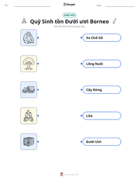 Xem trước tài liệu in sẵn Quỹ Sinh tồn Đười ươi Borneo