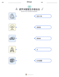 婆罗洲猩猩生存基金会 可打印工作表预览