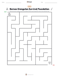 Borneo Orangutan Survival Foundation printable worksheet preview