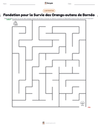 Aperçu de la feuille de travail imprimable Fondation pour la Survie des Orangs-outans de Bornéo
