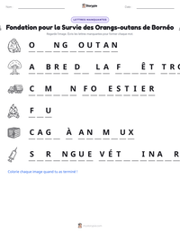 Aperçu de la feuille de travail imprimable Fondation pour la Survie des Orangs-outans de Bornéo