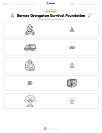 Borneo Orangutan Survival Foundation printable worksheet preview