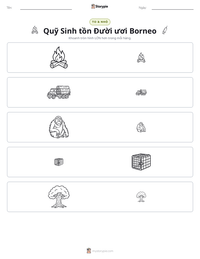 Xem trước tài liệu in sẵn Quỹ Sinh tồn Đười ươi Borneo