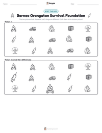 Borneo Orangutan Survival Foundation printable worksheet preview