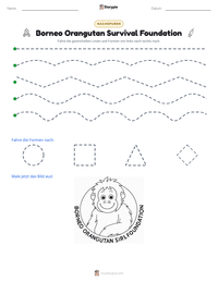 Borneo Orangutan Survival Foundation druckbare Arbeitsblatt Vorschau