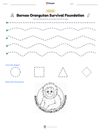 Borneo Orangutan Survival Foundation printable worksheet preview
