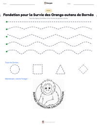 Aperçu de la feuille de travail imprimable Fondation pour la Survie des Orangs-outans de Bornéo