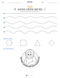 보르네오 오랑우탄 생존 재단 인쇄 가능한 워크시트 미리보기
