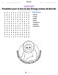 Aperçu de la feuille de travail imprimable Fondation pour la Survie des Orangs-outans de Bornéo