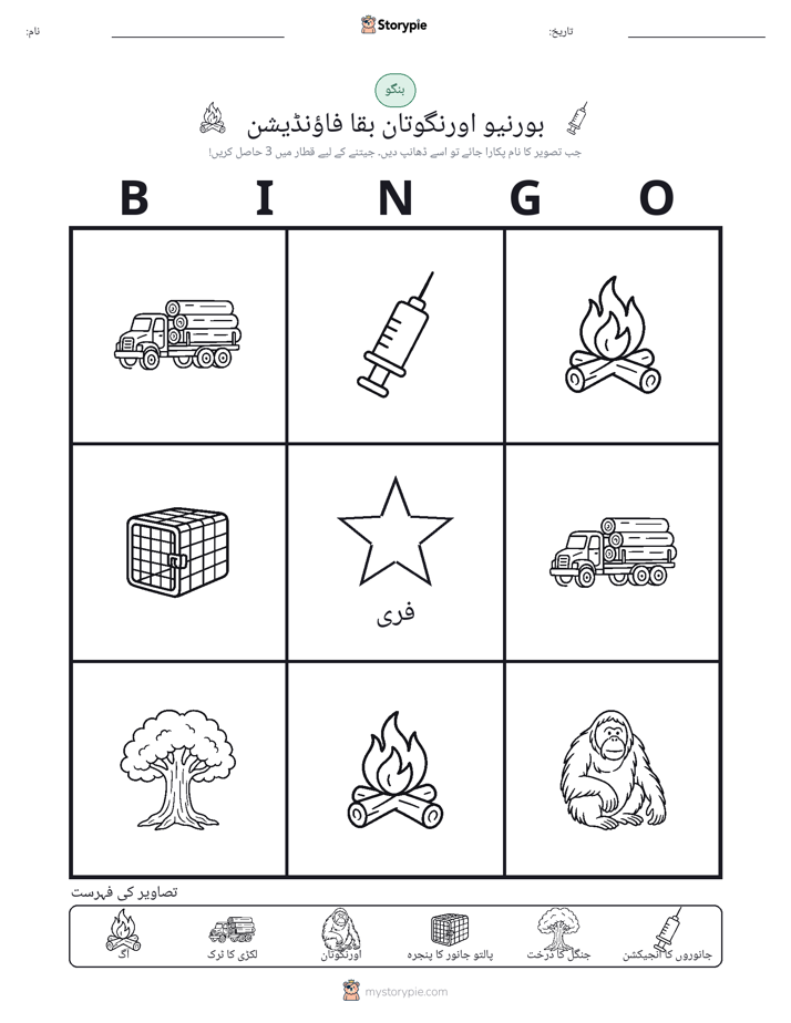 تصویری بنگو