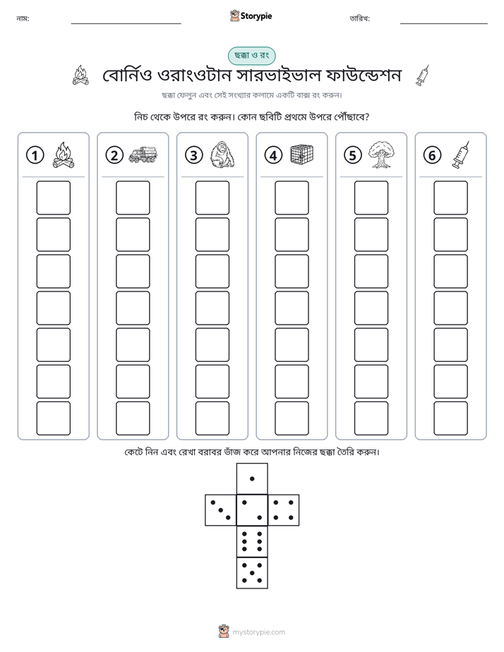 রোল & রঙ