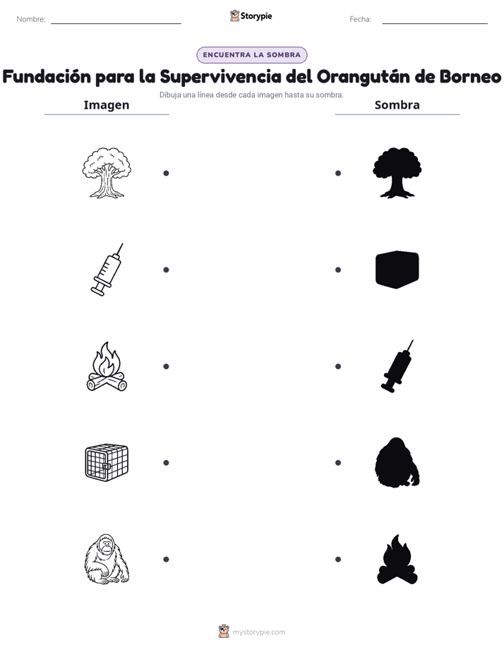 Coincidencia de Sombras