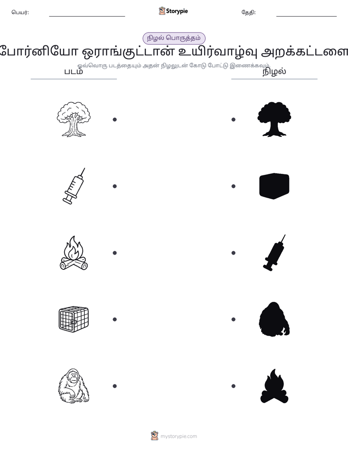 நிழல் பொருத்தம்