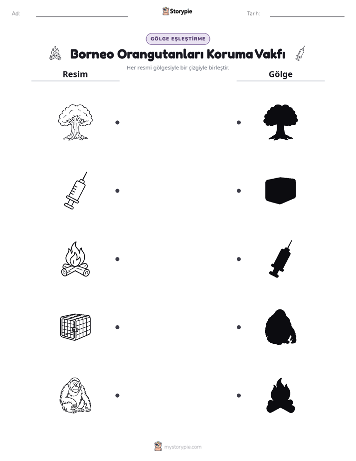 Gölge Eşleştirme