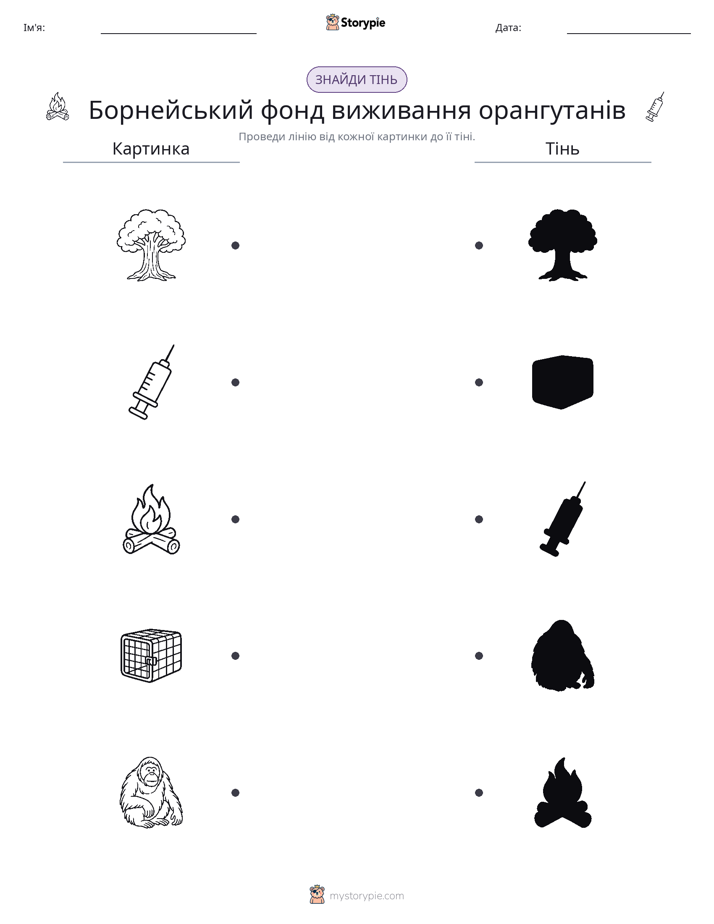 Тіньове Відповідність