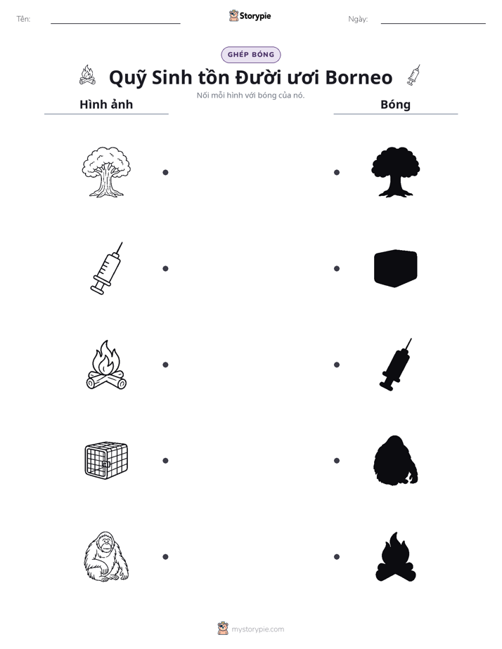 Ghép Hình Bóng